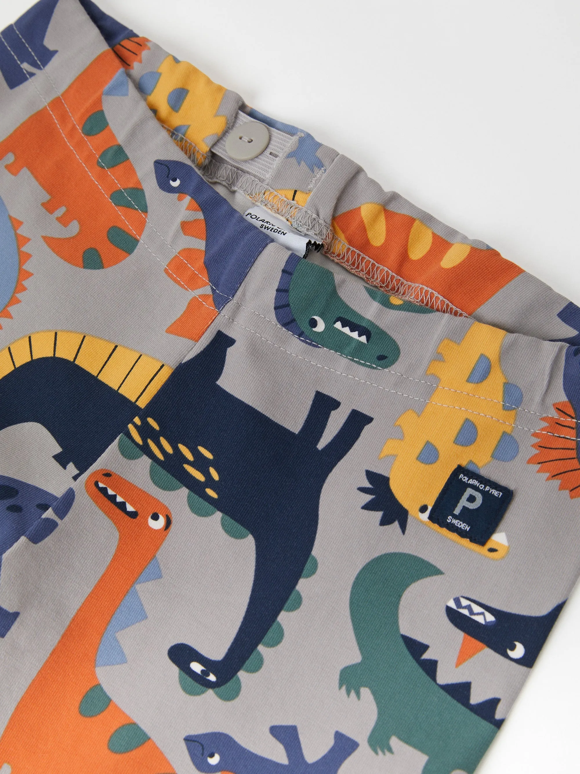 Dinosaur Kids Leggings